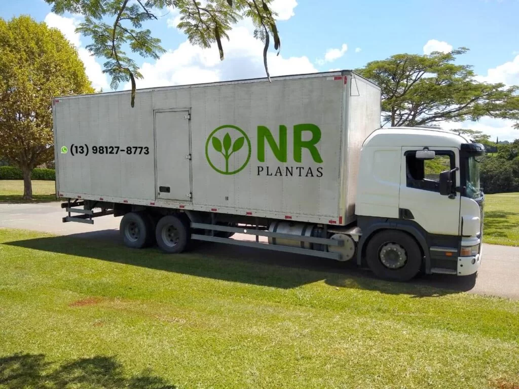 Caminhão da NR Plantas realizando entrega de árvores ornamentais